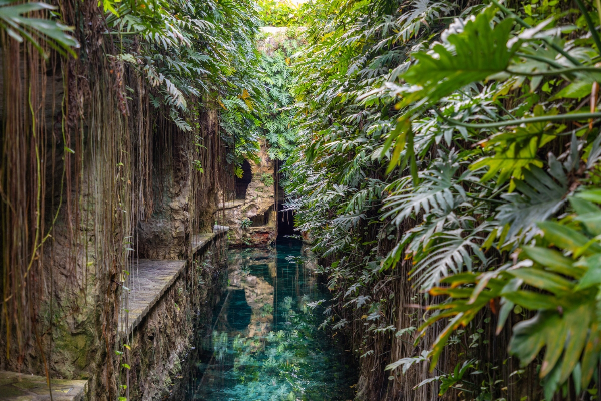 xr:d:DAFLEwjz5i8:126,j:3072735855,t:23020316